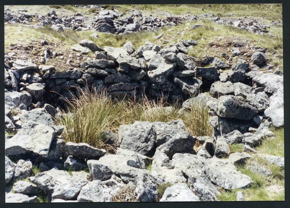 An image from the Dartmoor Trust Archive