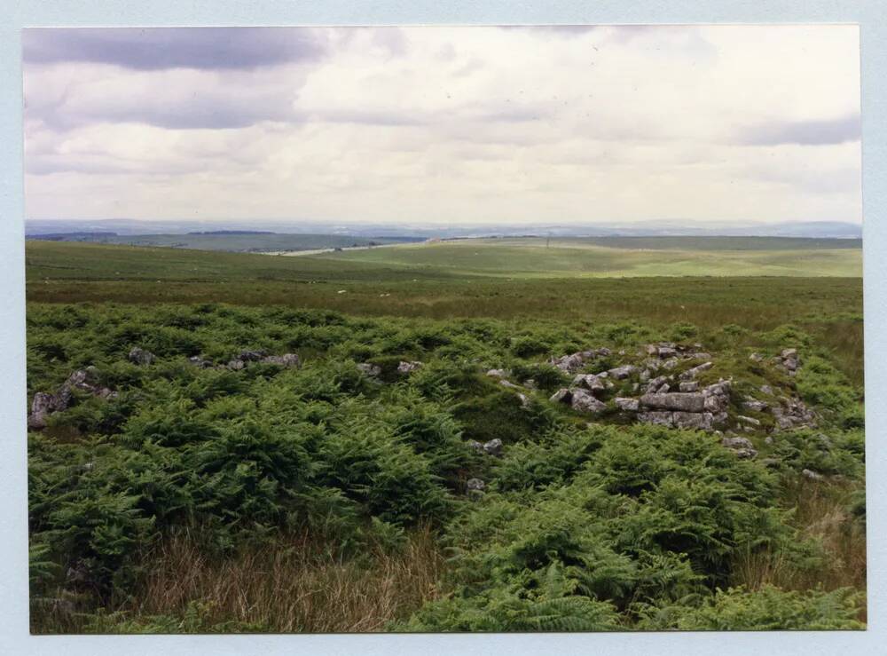 An image from the Dartmoor Trust Archive