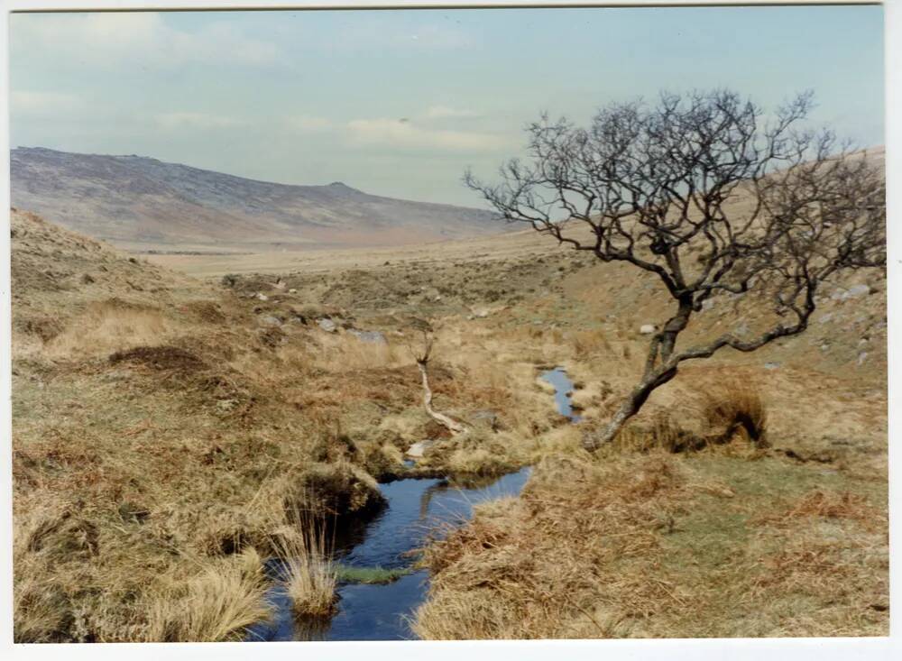 An image from the Dartmoor Trust Archive