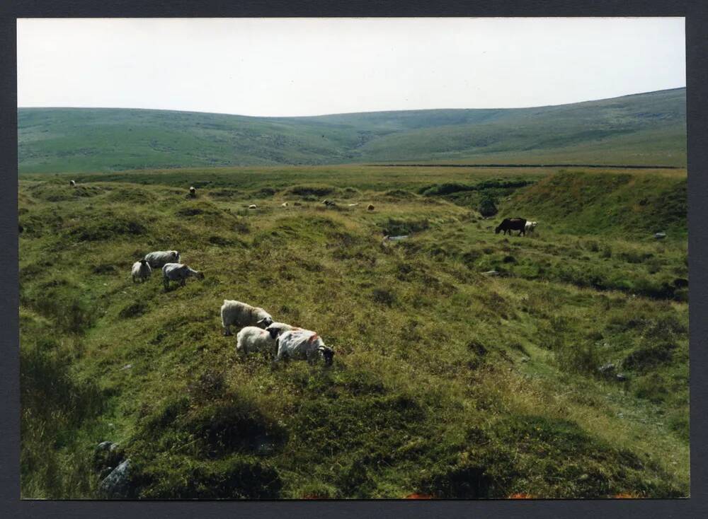 An image from the Dartmoor Trust Archive