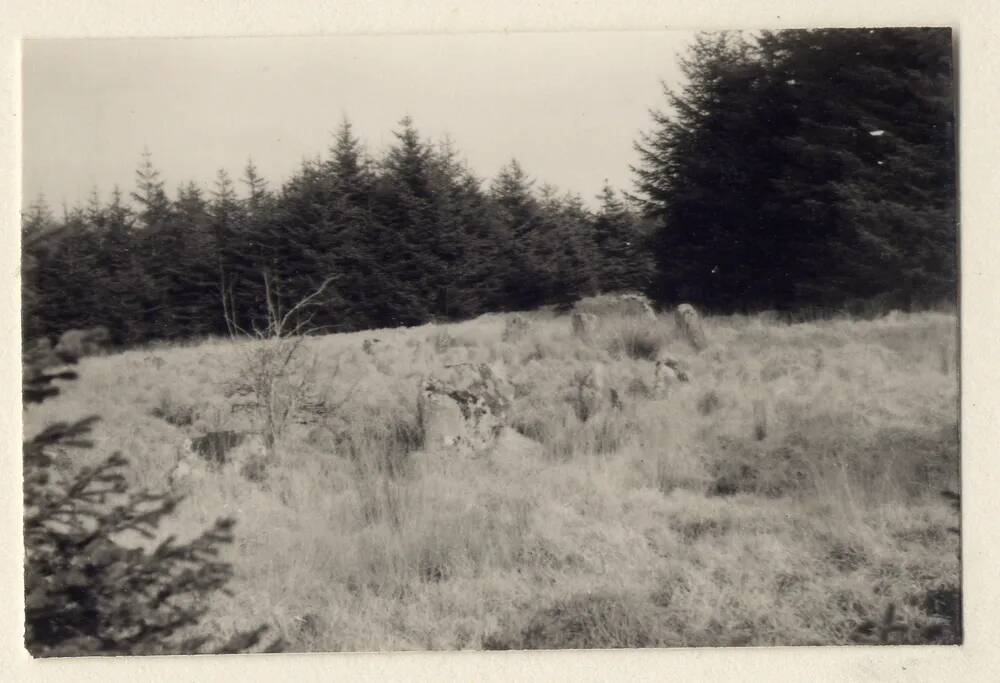 Stone circle at Fernworthy