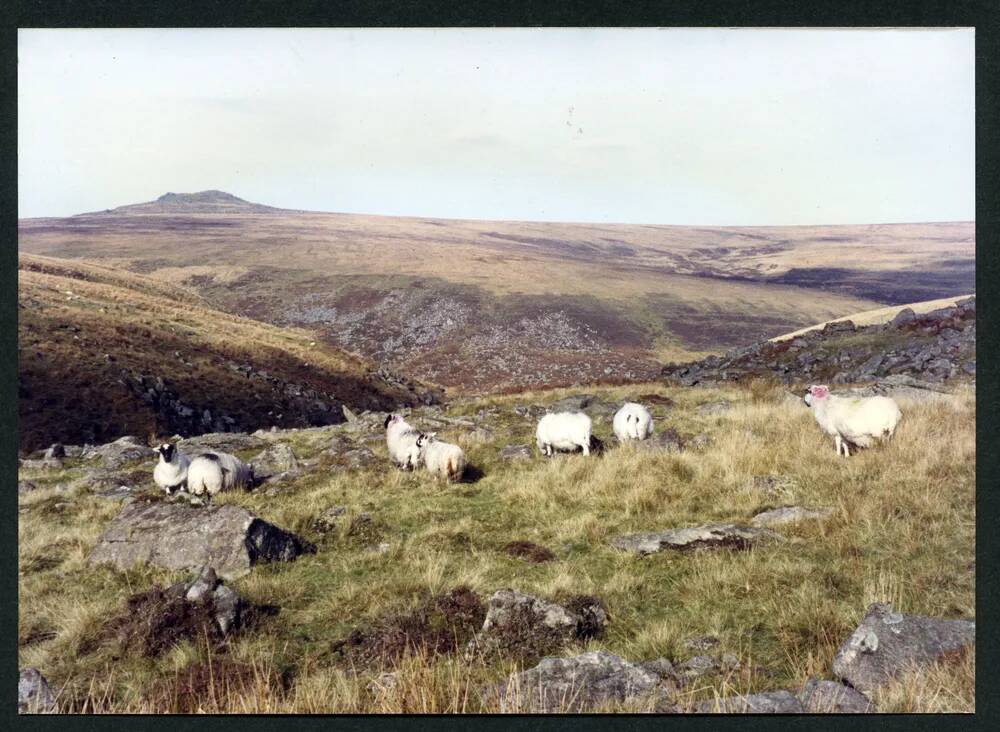 An image from the Dartmoor Trust Archive