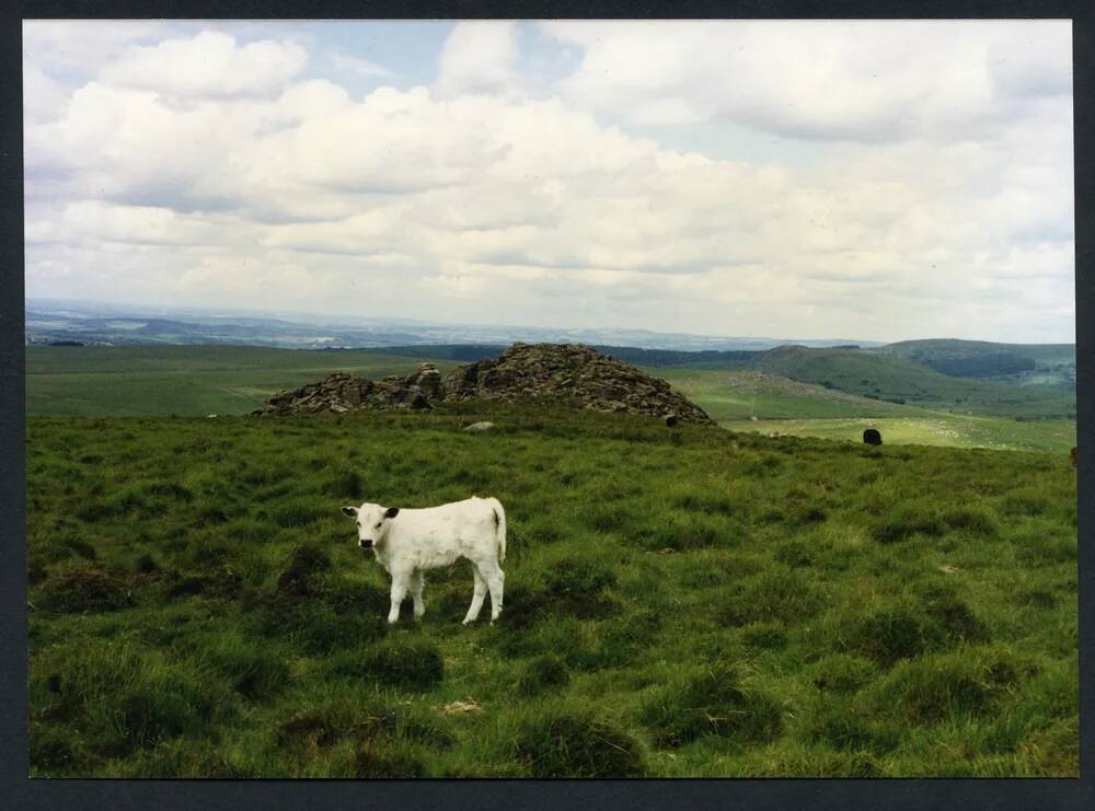 An image from the Dartmoor Trust Archive