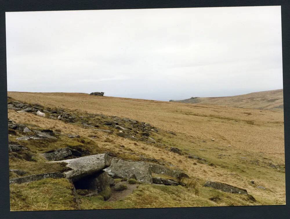 An image from the Dartmoor Trust Archive