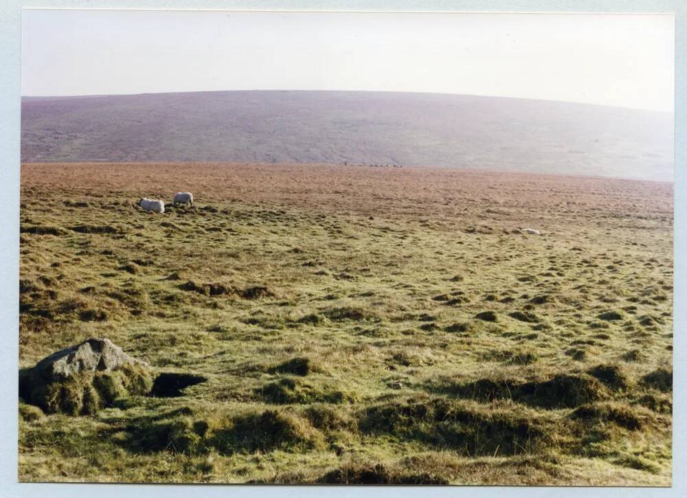 An image from the Dartmoor Trust Archive