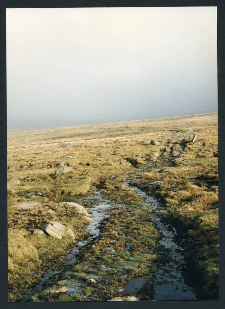 An image from the Dartmoor Trust Archive