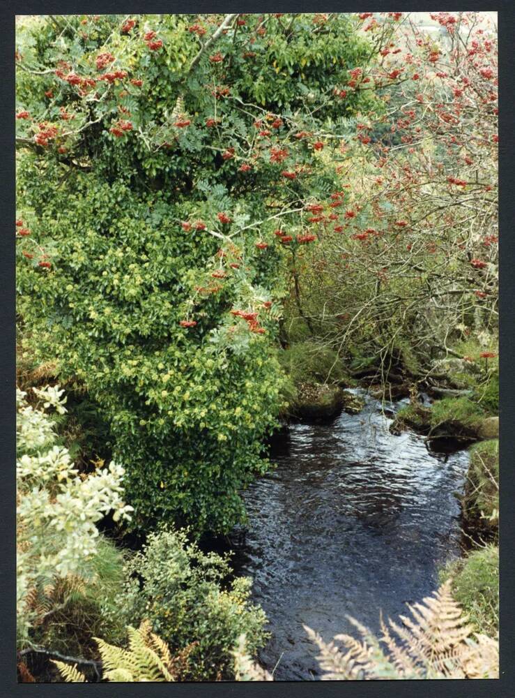 An image from the Dartmoor Trust Archive