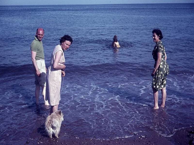 An image from the Dartmoor Trust Archive