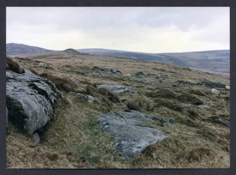 An image from the Dartmoor Trust Archive