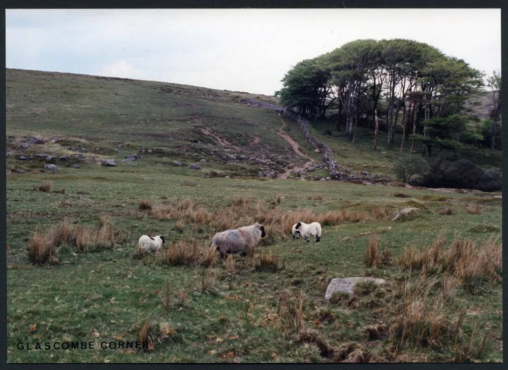 7/29 Glascombe Corner 29/5/1991