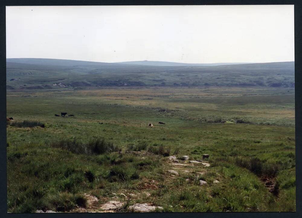 13/43 Philpotts Cut Broada Mash, Broada Marsh Stream, Row Tor 30/7/1991