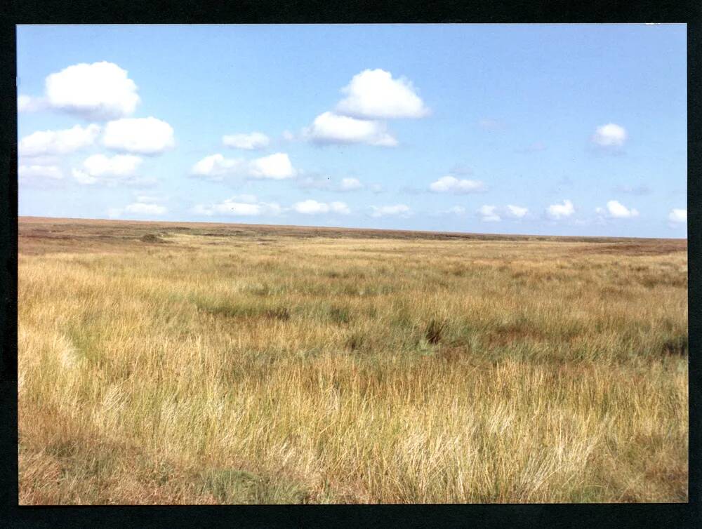 10/59 Aune Head Mires 13/9/1991