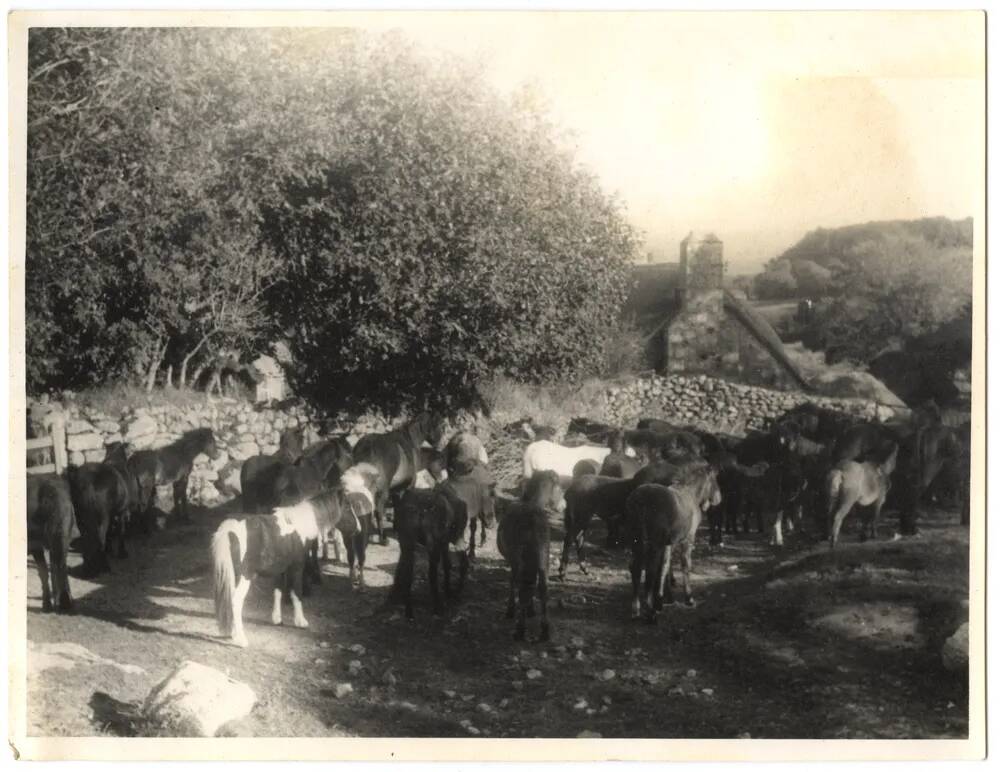 An image from the Dartmoor Trust Archive