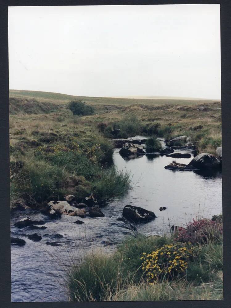 An image from the Dartmoor Trust Archive