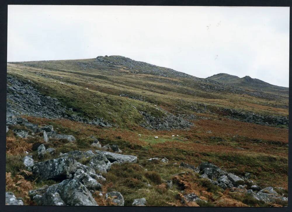 An image from the Dartmoor Trust Archive