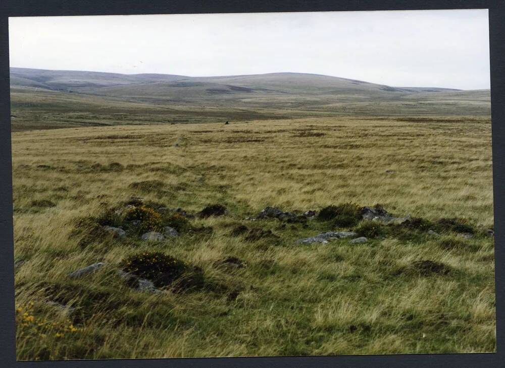 An image from the Dartmoor Trust Archive