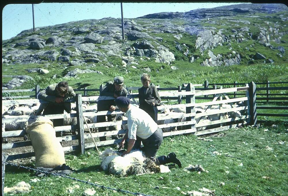 An image from the Dartmoor Trust Archive