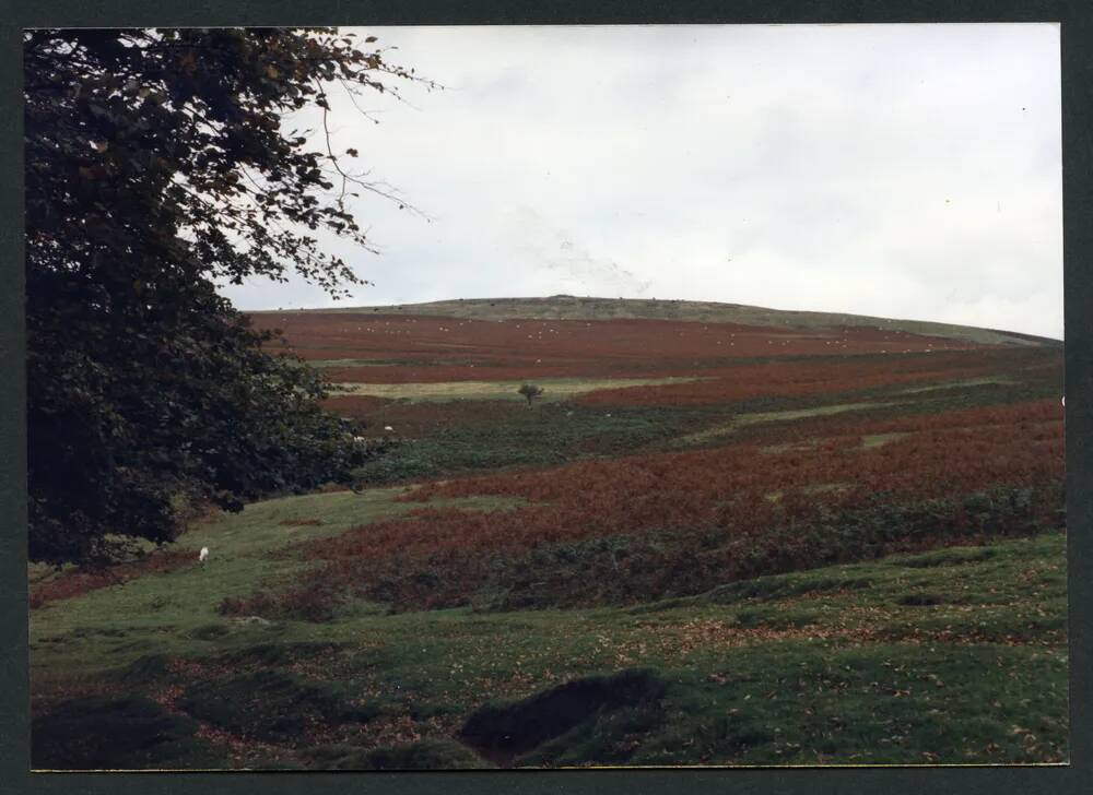 An image from the Dartmoor Trust Archive