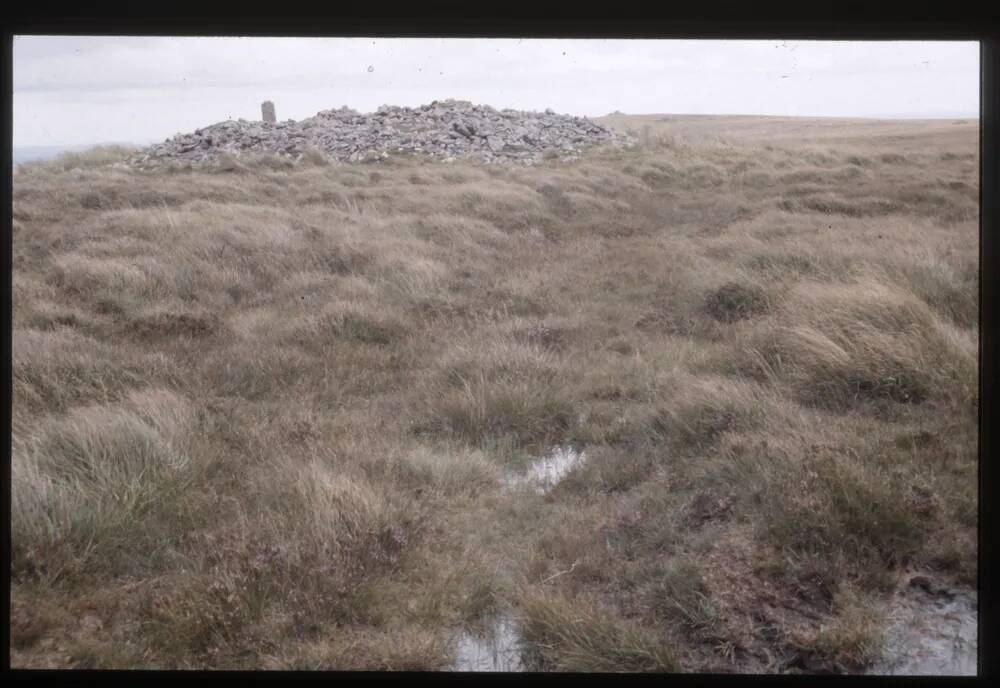 WesternWhite Barrow 