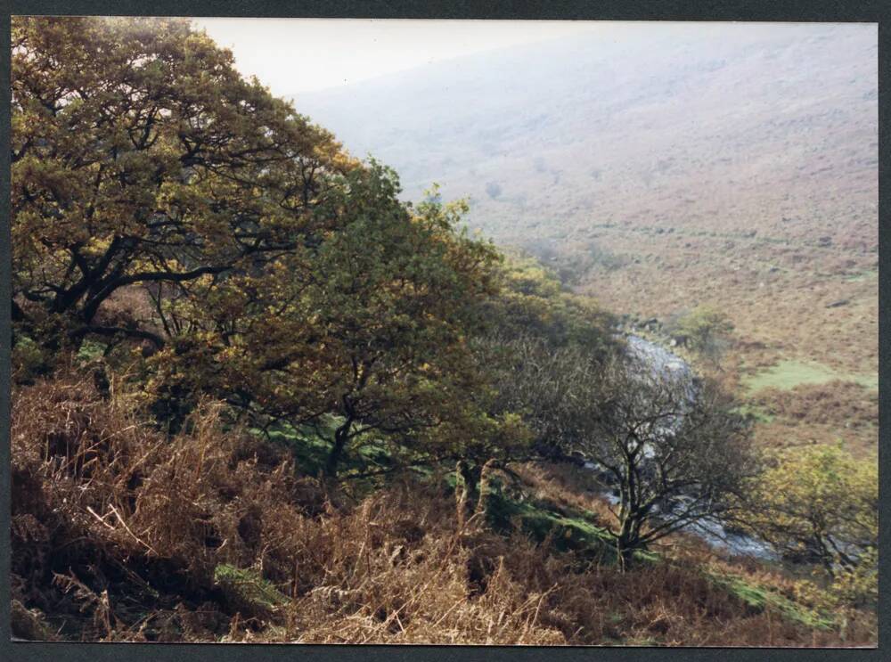 An image from the Dartmoor Trust Archive