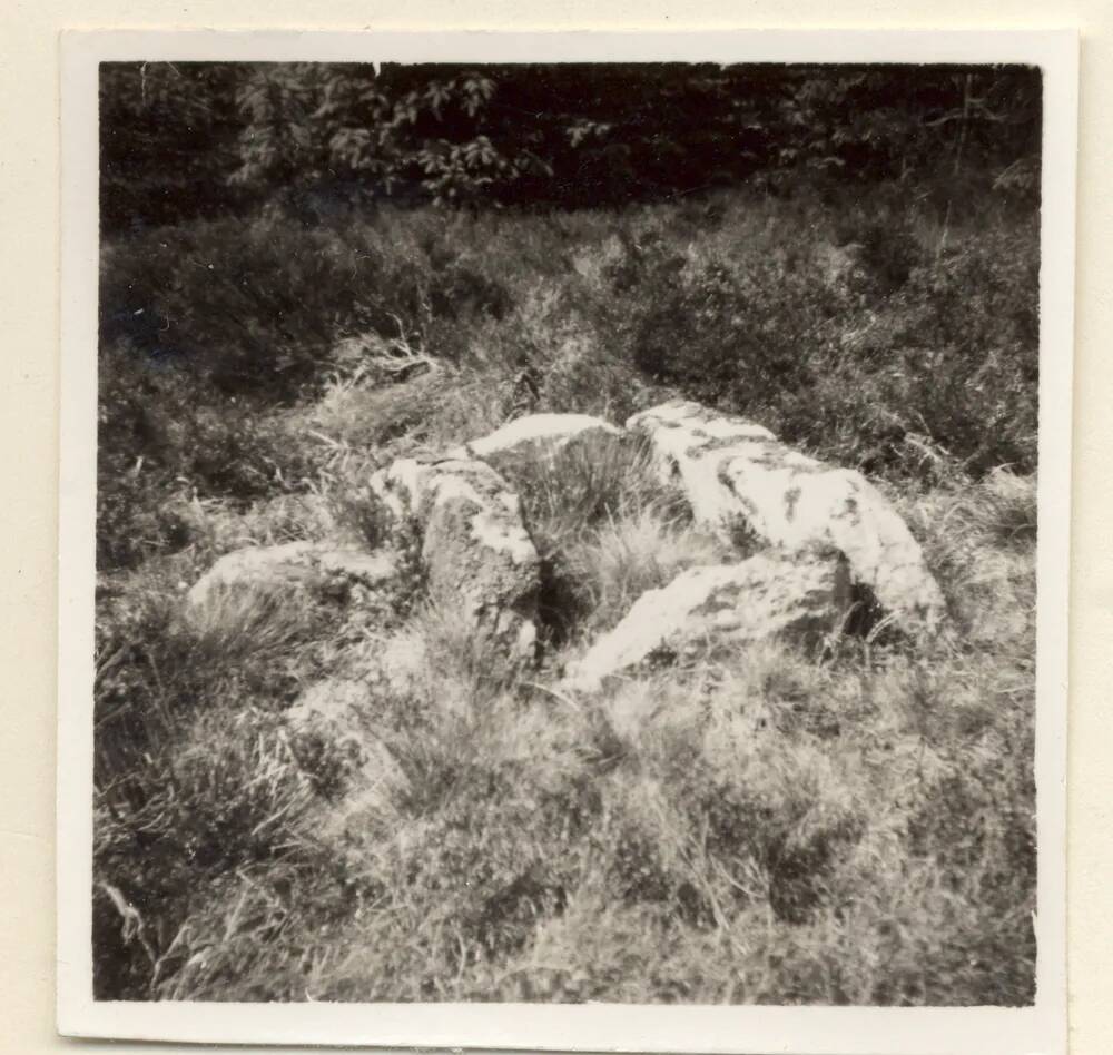 An image from the Dartmoor Trust Archive