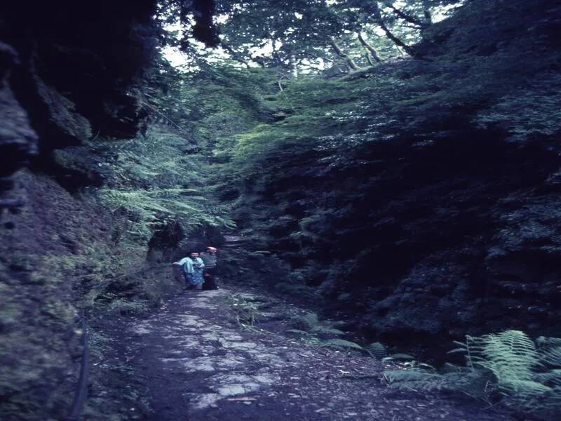 An image from the Dartmoor Trust Archive