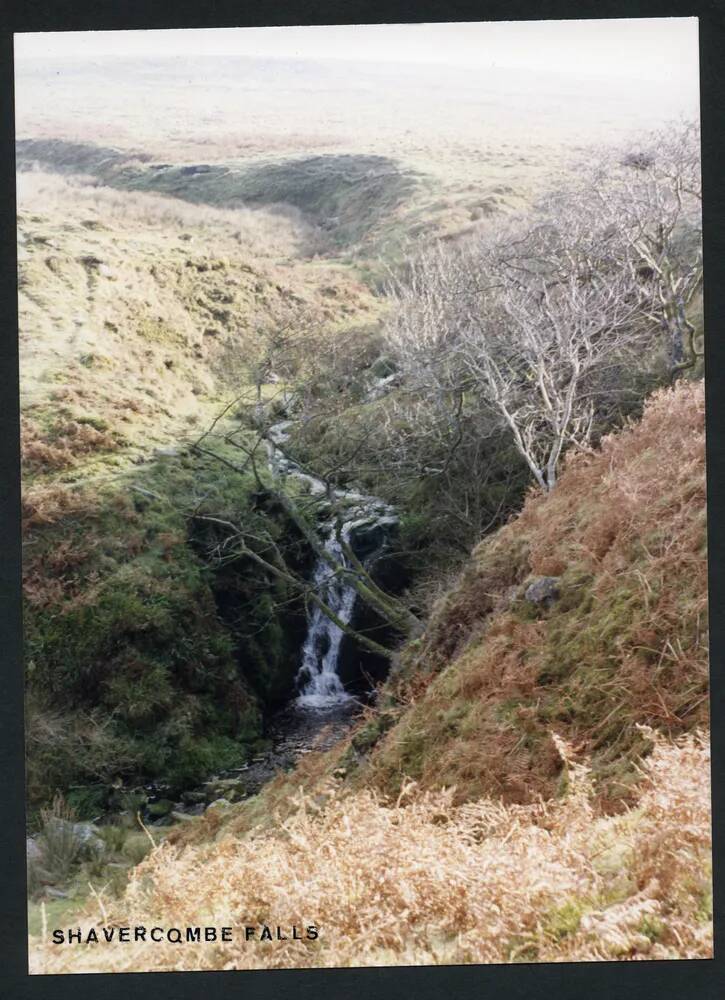 An image from the Dartmoor Trust Archive