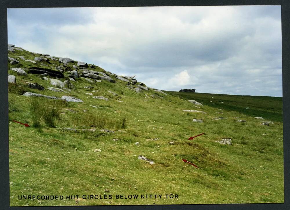 An image from the Dartmoor Trust Archive