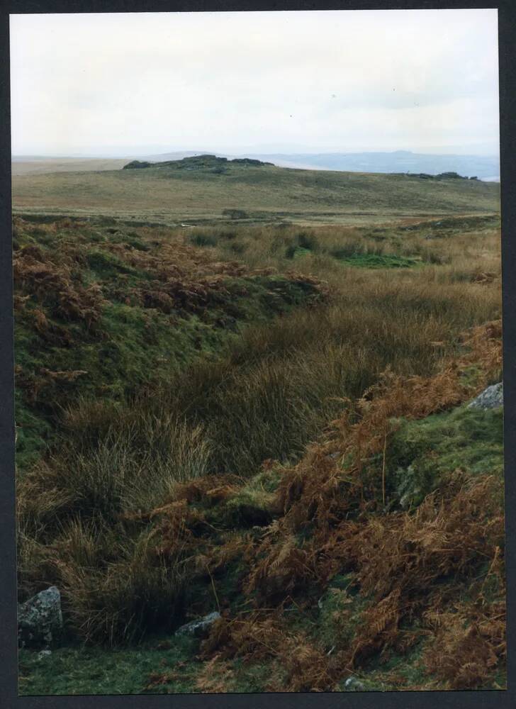 An image from the Dartmoor Trust Archive