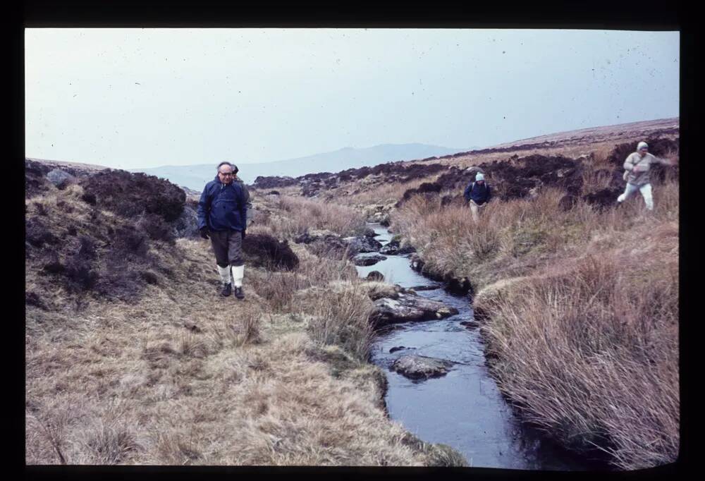 Steeperton Brook running between Steeperton Tor and Wild Tor