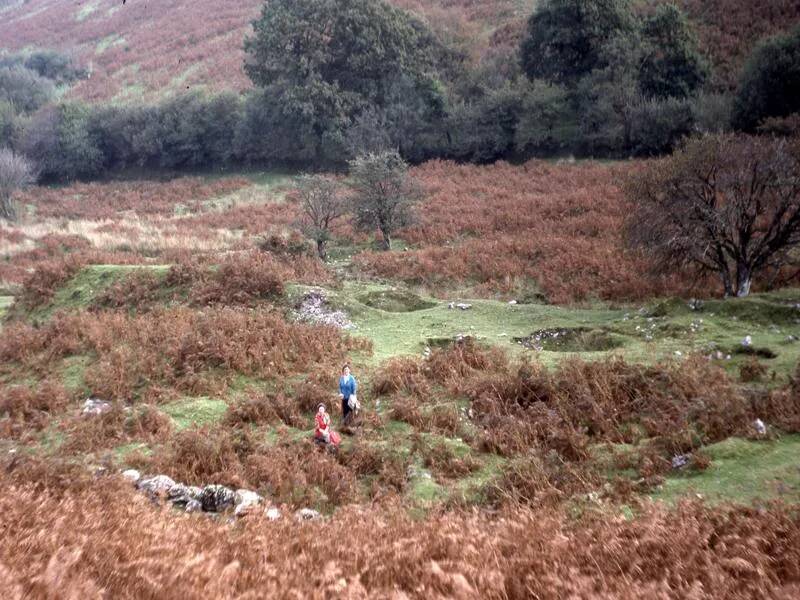 An image from the Dartmoor Trust Archive