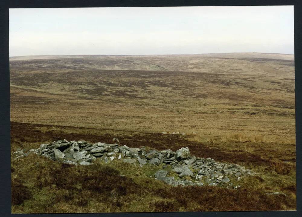 19/10 Source of Red Brook from Three Burrows 7/3/1991