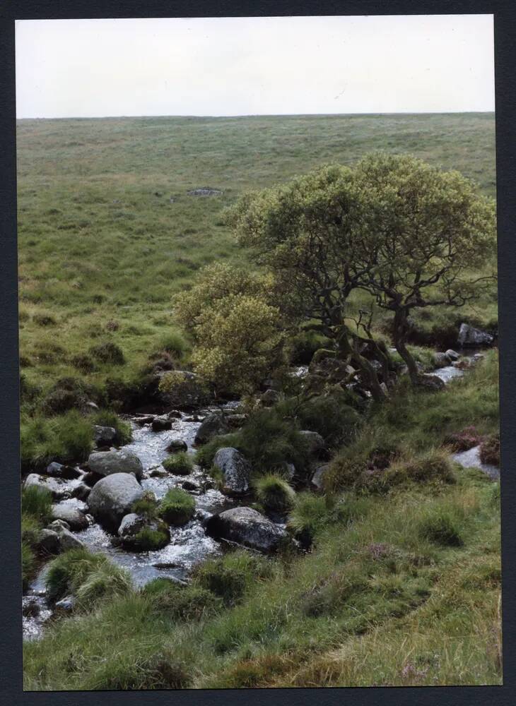 An image from the Dartmoor Trust Archive