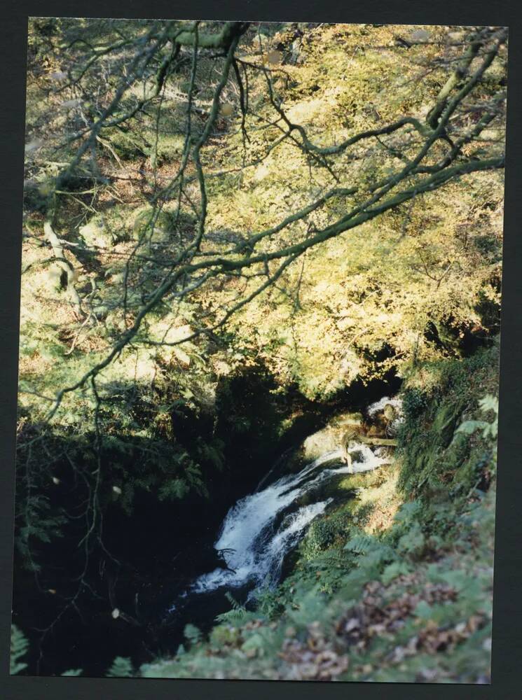 An image from the Dartmoor Trust Archive