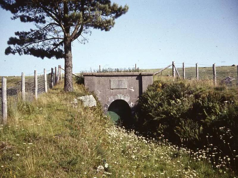 An image from the Dartmoor Trust Archive