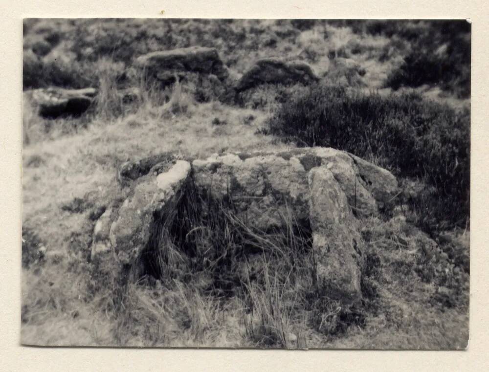 An image from the Dartmoor Trust Archive