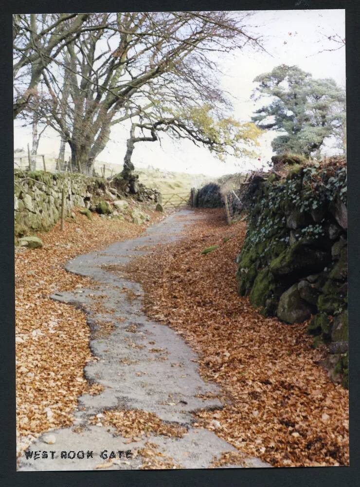 An image from the Dartmoor Trust Archive