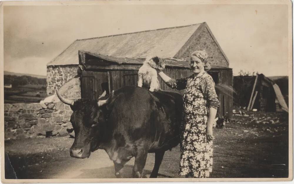 An image from the Dartmoor Trust Archive