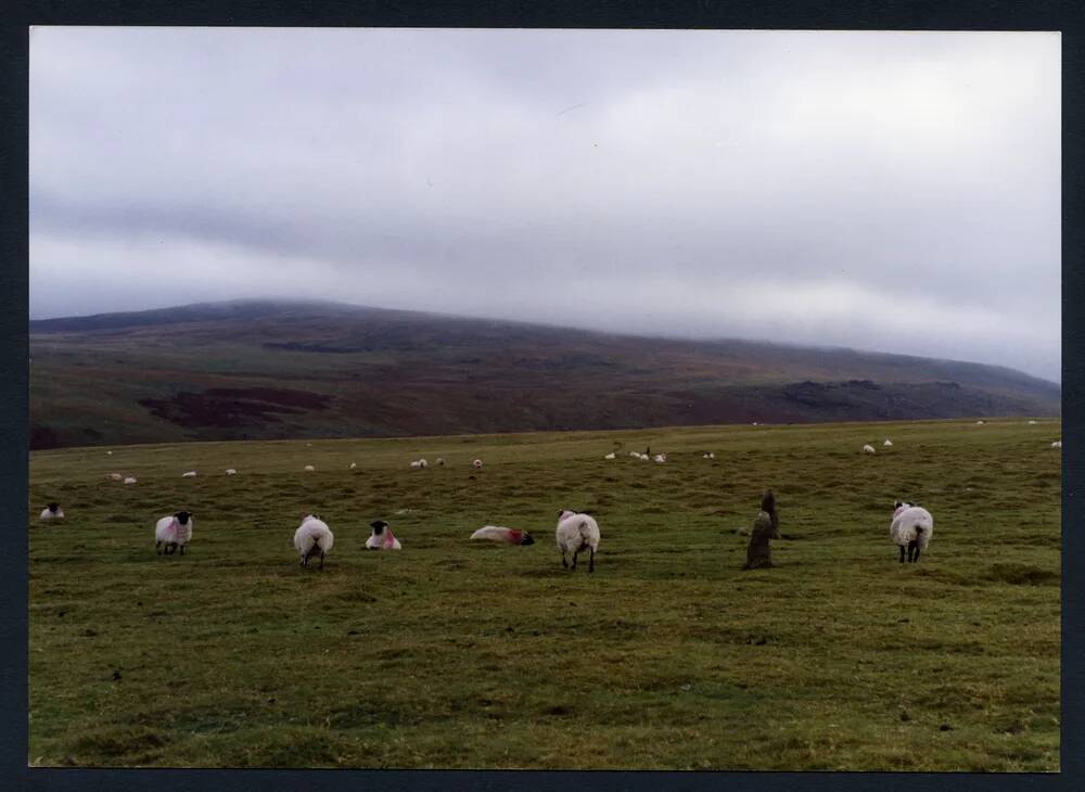 An image from the Dartmoor Trust Archive