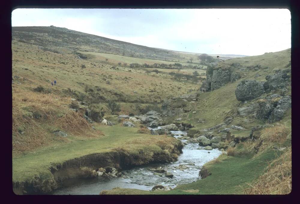 The River Lyd