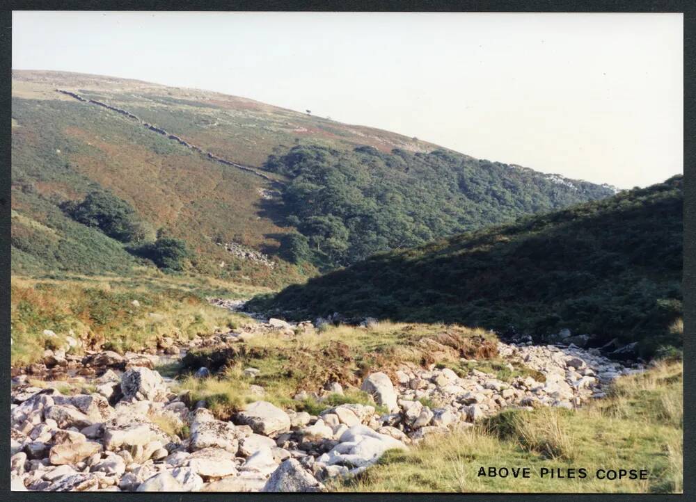 An image from the Dartmoor Trust Archive