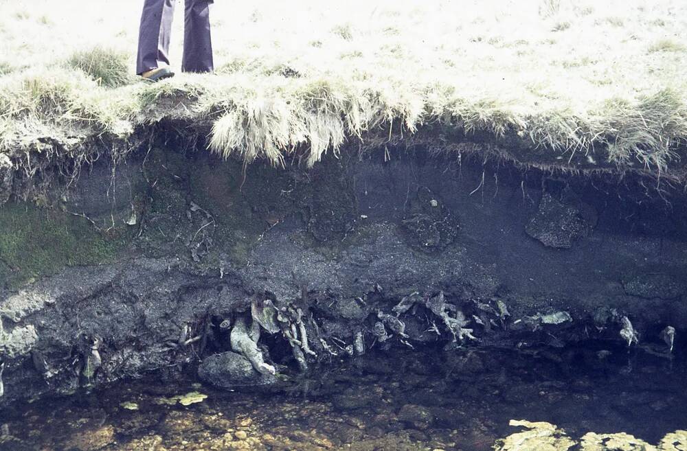 An image from the Dartmoor Trust Archive