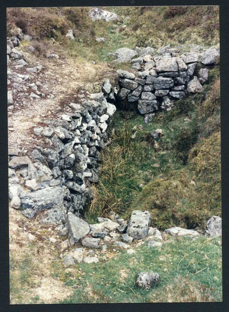 An image from the Dartmoor Trust Archive