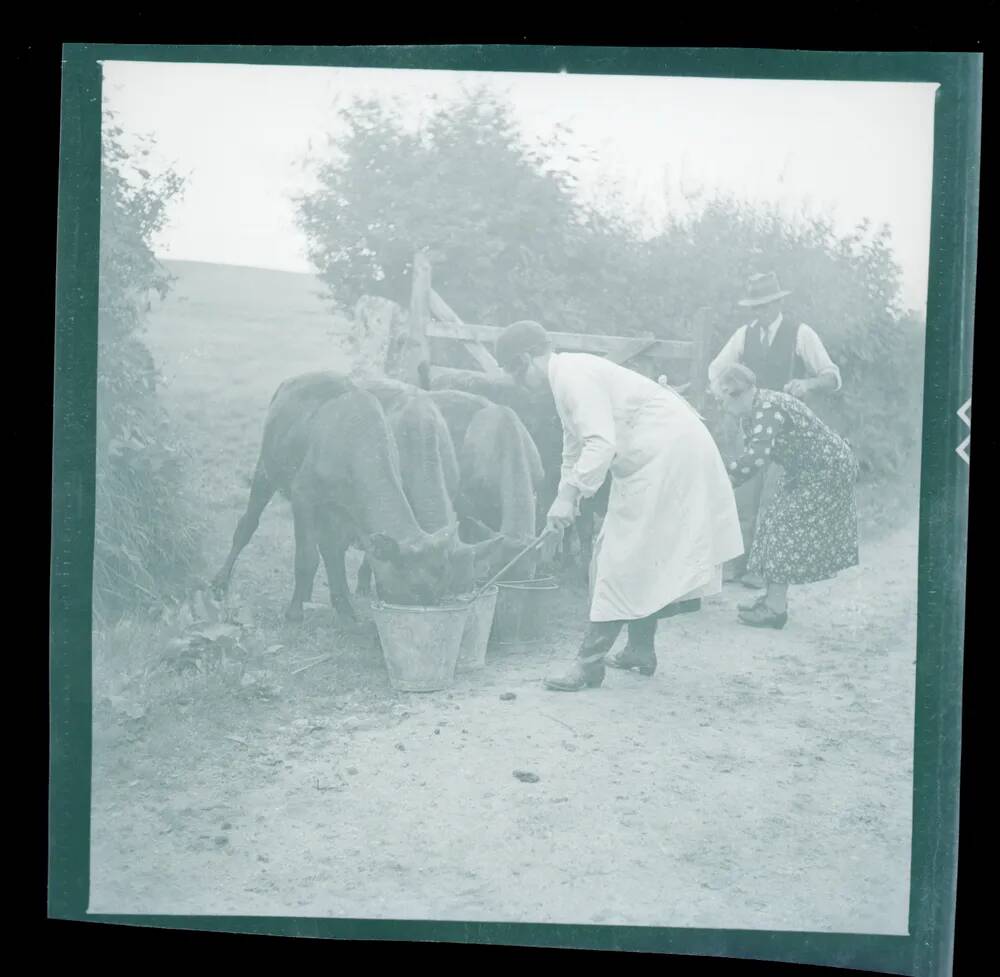 An image from the Dartmoor Trust Archive