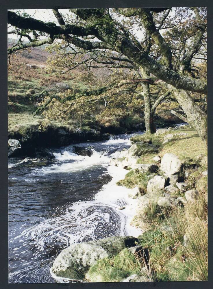 An image from the Dartmoor Trust Archive