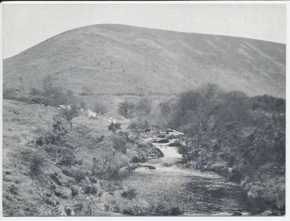 West Okement river, below Homerton Valley