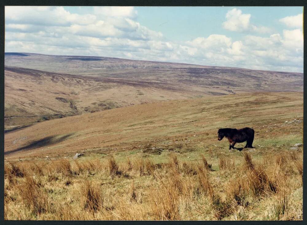 An image from the Dartmoor Trust Archive