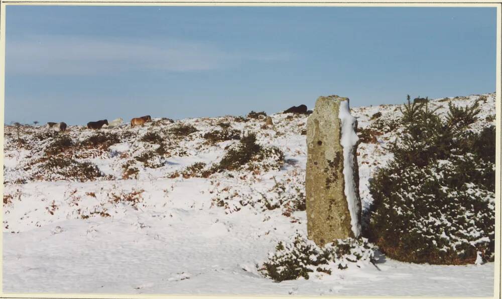 An image from the Dartmoor Trust Archive