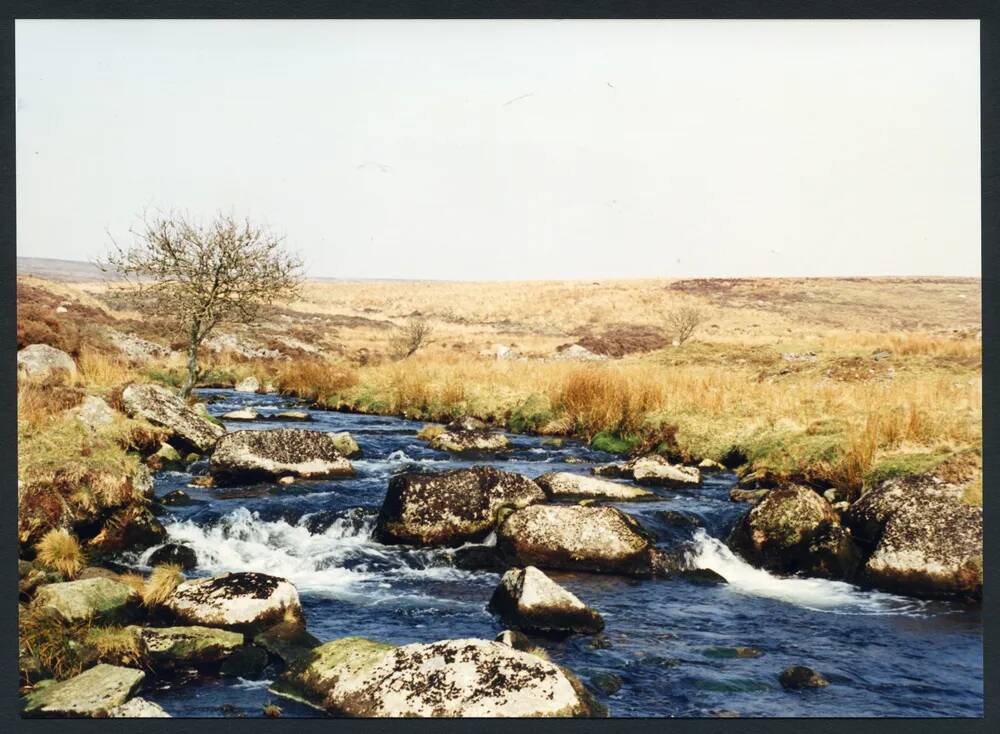 An image from the Dartmoor Trust Archive