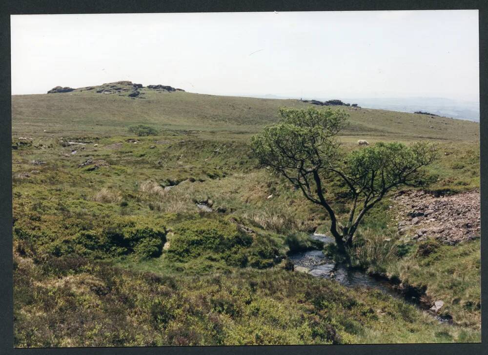 An image from the Dartmoor Trust Archive